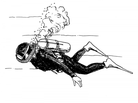 Image of a diver