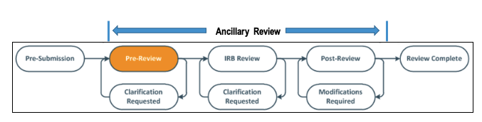 Picture of Ancillary Review Workflow