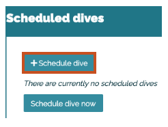 Schedule a dive in Bloop