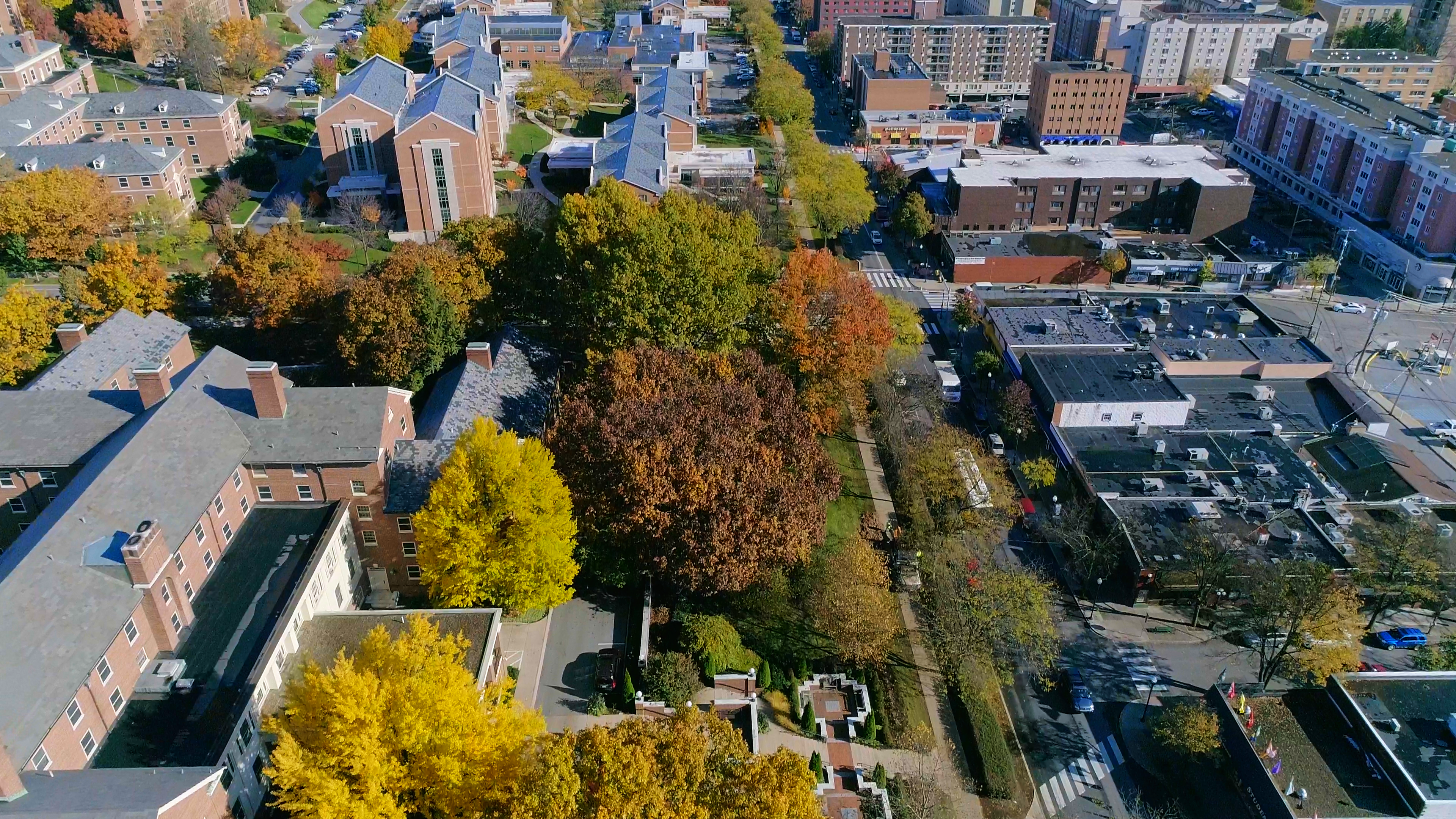 Drone Image of College Avenue