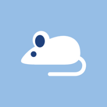 Icon of mouse
